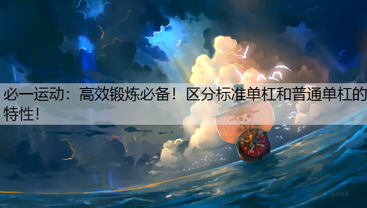 高效锻炼必备！区分标准单杠和普通单杠的特性！