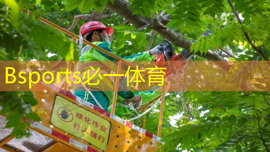 小熊拍网球拍适合新手吗_