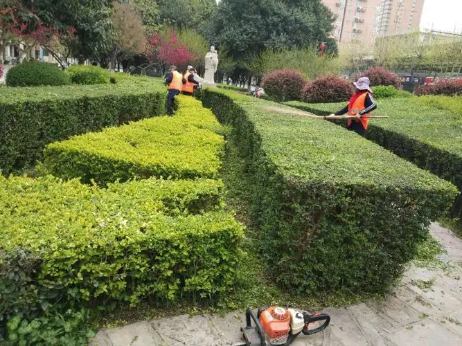 达尔顿网球拍怎么样