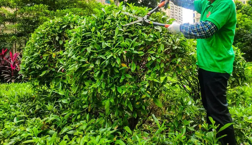 网球拍合金好还是塑料好