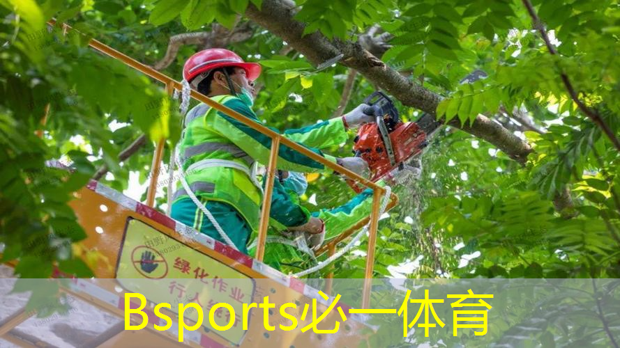 网球拍没缠手胶的样子