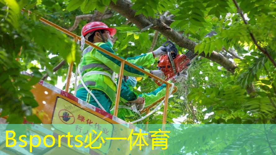 网球拍面用什么涂料刷最好